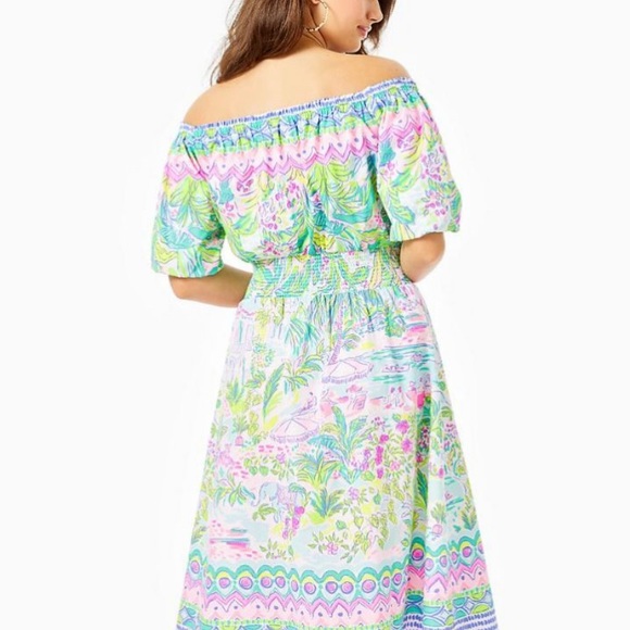 Lilly Pulitzer dress - Picture 2 of 6